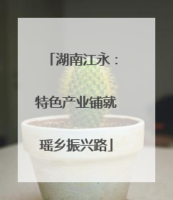 湖南江永：特色产业铺就瑶乡振兴路