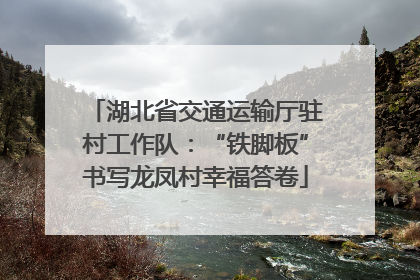 湖北省交通运输厅驻村工作队：“铁脚板”书写龙凤村幸福答卷
