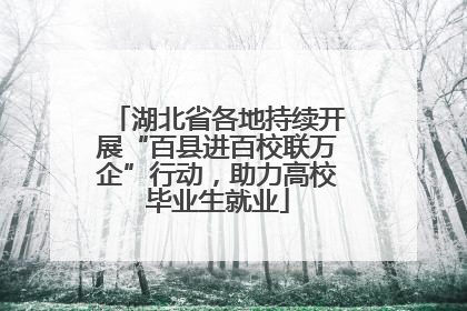 湖北省各地持续开展“百县进百校联万企”行动，助力高校毕业生就业
