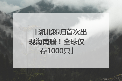 湖北秭归首次出现海南鳽！全球仅存1000只