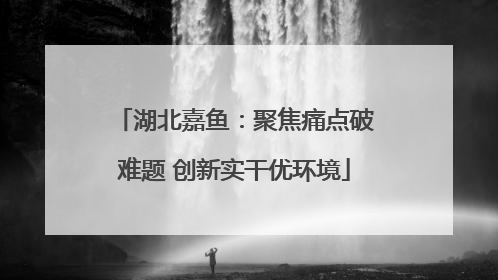湖北嘉鱼：聚焦痛点破难题 创新实干优环境