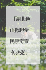 湖北通山掀起全民禁毒宣传热潮