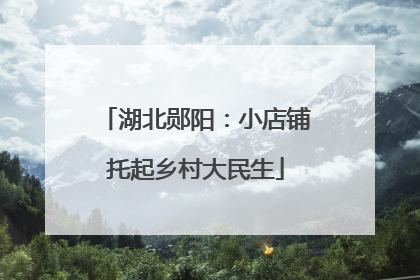 湖北郧阳：小店铺托起乡村大民生