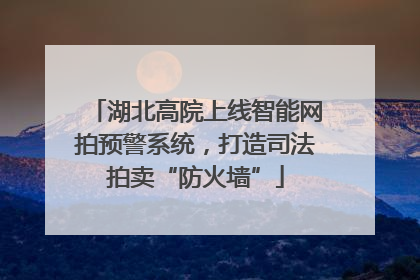 湖北高院上线智能网拍预警系统，打造司法拍卖“防火墙”