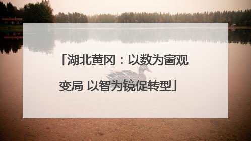 湖北黄冈：以数为窗观变局 以智为镜促转型