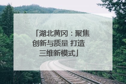 湖北黄冈：聚焦创新与质量 打造三维新模式