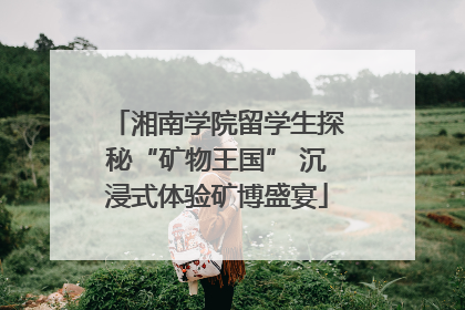 湘南学院留学生探秘“矿物王国” 沉浸式体验矿博盛宴
