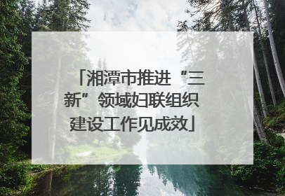 湘潭市推进“三新”领域妇联组织建设工作见成效