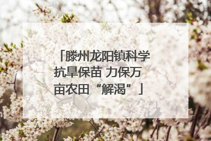 滕州龙阳镇科学抗旱保苗 力保万亩农田“解渴”