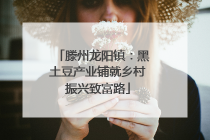 滕州龙阳镇：黑土豆产业铺就乡村振兴致富路