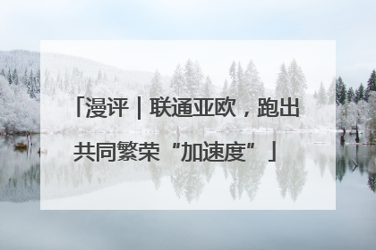 漫评｜联通亚欧，跑出共同繁荣“加速度”