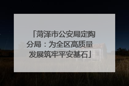 菏泽市公安局定陶分局：为全区高质量发展筑牢平安基石