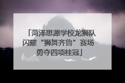 菏泽思源学校龙狮队闪耀“狮舞齐鲁”赛场 勇夺四项桂冠