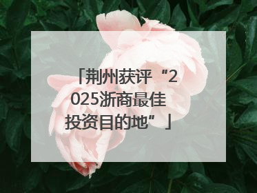 荆州获评“2025浙商最佳投资目的地”