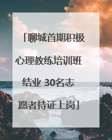 聊城首期积极心理教练培训班结业 30名志愿者持证上岗
