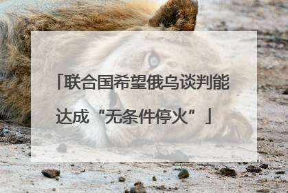 联合国希望俄乌谈判能达成“无条件停火”