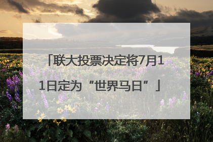 联大投票决定将7月11日定为“世界马日”