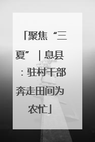 聚焦“三夏”｜息县：驻村干部奔走田间为农忙