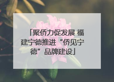 聚侨力促发展 福建宁德推进“侨见宁德”品牌建设