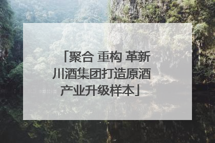 聚合 重构 革新 川酒集团打造原酒产业升级样本