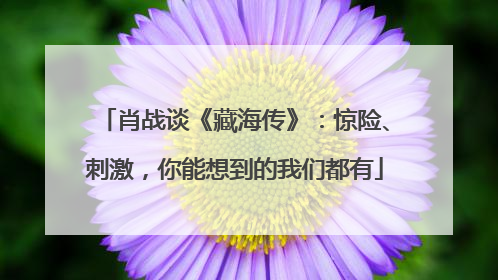 肖战谈《藏海传》：惊险、刺激，你能想到的我们都有