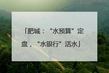 肥城：“水预算”定盘，“水银行”活水