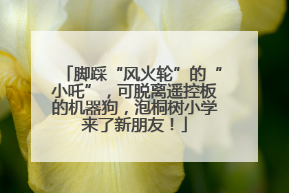 脚踩“风火轮”的“小吒”，可脱离遥控板的机器狗，泡桐树小学来了新朋友！