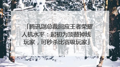 腾讯副总裁回应王者荣耀人机水平：起初为顶替掉线玩家，可秒杀比赛级玩家
