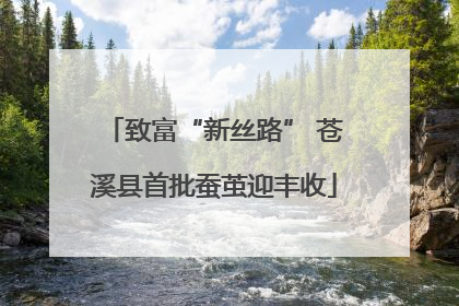 致富“新丝路” 苍溪县首批蚕茧迎丰收