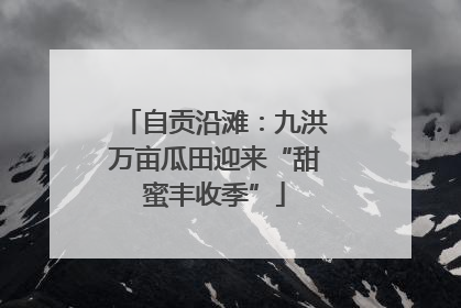 自贡沿滩：九洪万亩瓜田迎来“甜蜜丰收季”