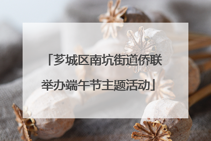 芗城区南坑街道侨联举办端午节主题活动