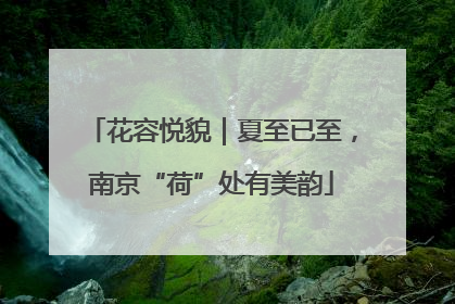 花容悦貌｜夏至已至，南京“荷”处有美韵