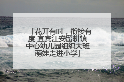 花开有时，衔接有度 宜宾江安留耕镇中心幼儿园组织大班萌娃走进小学