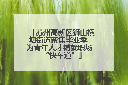 苏州高新区狮山横塘街道聚焦毕业季 为青年人才铺就职场“快车道”