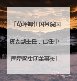 苟坪卸任国务院国资委副主任，已任中国星网集团董事长