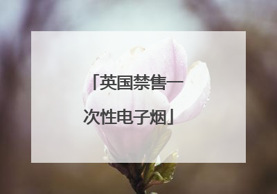英国禁售一次性电子烟