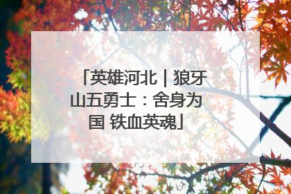 英雄河北｜狼牙山五勇士：舍身为国 铁血英魂