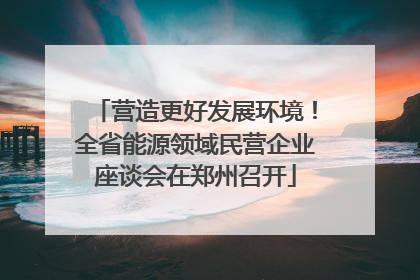 营造更好发展环境！全省能源领域民营企业座谈会在郑州召开