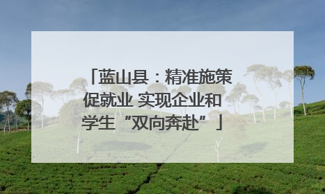 蓝山县：精准施策促就业 实现企业和学生“双向奔赴”