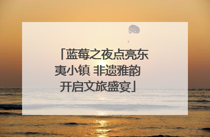 蓝莓之夜点亮东夷小镇 非遗雅韵开启文旅盛宴