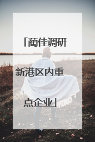 蔺佳调研新港区内重点企业