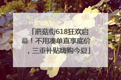 蘑菇街618狂欢启幕！不用凑单直享底价，三重补贴嗨购今夏