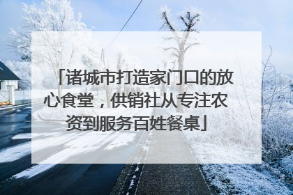 诸城市打造家门口的放心食堂，供销社从专注农资到服务百姓餐桌