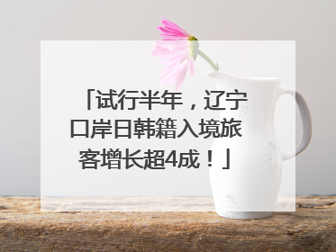 试行半年，辽宁口岸日韩籍入境旅客增长超4成！
