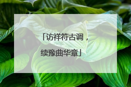 访祥符古调，续豫曲华章