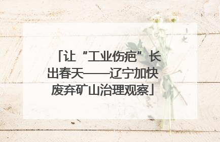 让“工业伤疤”长出春天——辽宁加快废弃矿山治理观察