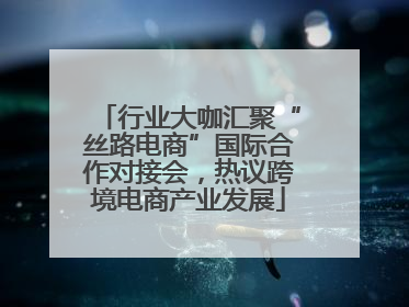 行业大咖汇聚“丝路电商”国际合作对接会，热议跨境电商产业发展