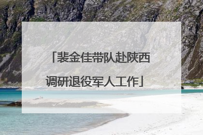 裴金佳带队赴陕西调研退役军人工作