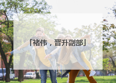 褚伟，晋升副部