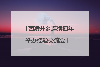 西凌井乡连续四年举办经验交流会